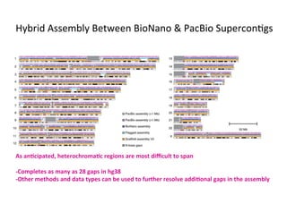 As	anHcipated,	heterochromaHc	regions	are	most	diﬃcult	to	span	
	
-Completes	as	many	as	28	gaps	in	hg38	
-Other	methods	and	data	types	can	be	used	to	further	resolve	addiHonal	gaps	in	the	assembly	
Hybrid	Assembly	Between	BioNano	&	PacBio	Supercon1gs	
 