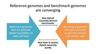 Reference genomes and benchmark genomes
are converging
Reference genomes
that are polished
diploid assemblies of
open cell lines
Benchmark genomes
and tools to stratify
by genome context
and variant type
New diploid
assembly-derived
benchmarks
New tools to assess
diploid assembly
quality
 