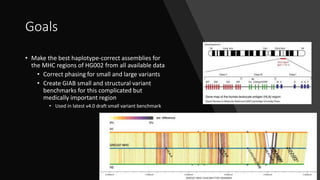Goals
• Make the best haplotype-correct assemblies for
the MHC regions of HG002 from all available data
• Correct phasing for small and large variants
• Create GIAB small and structural variant
benchmarks for this complicated but
medically important region
• Used in latest v4.0 draft small variant benchmark
 
