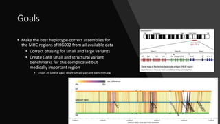 Goals
• Make the best haplotype-correct assemblies for
the MHC regions of HG002 from all available data
• Correct phasing ...