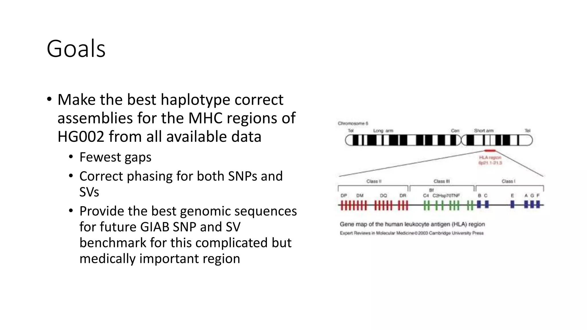 Goals
• Make the best haplotype correct
assemblies for the MHC regions of
HG002 from all available data
• Fewest gaps
• Correct phasing for both SNPs and
SVs
• Provide the best genomic sequences
for future GIAB SNP and SV
benchmark for this complicated but
medically important region
 