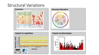 Structural Variations
Genomic DisordersEvolution
Impact on regulation Impact on phenotypes
RegulatoryState
Cell Line
A
54
9A
o
rta
B
_
ce
lls_
P
B
_R
o
ad
m
ap
C
D
1
4C
D
16
__
m
on
ocyte_
C
B
C
D
14
C
D
16
__m
ono
cyte
_V
B
C
D
4
_a
b_
T
_
cell_
V
B
C
D
8_a
b_
T
_
ce
ll_C
B
C
M
_C
D
4
_ab
_T
_cell_
V
B
D
N
D
_4
1
e
osin
o
ph
il_V
B
E
P
C
_V
B
eryth
rob
la
st_C
B
F
e
ta
l_
A
dren
al_
G
la
n
d
F
e
tal_
Intestin
e_L
arg
e
F
etal_
In
te
stin
e_
S
m
all
F
e
ta
l_
M
u
scle
_
Le
g
F
etal_
M
uscle
_T
runk
F
etal_
S
tom
a
ch
F
e
tal_
T
hym
us
G
astric
G
M
12
87
8
H
1_
m
esenchym
al
H
1_
ne
uron
al_
p
rog
en
itor
H
1_
troph
ob
la
st
H
1
E
S
C
H
9
H
e
La
_S
3
H
e
pG
2H
M
E
CH
S
M
M
H
S
M
M
tub
e
H
U
V
E
C
_p
ro
l_
C
B
H
U
V
E
CIM
R
90
iP
S
_2
0b
iP
S
_D
F
_19
_1
1
iP
S
_D
F
_6
_9K
56
2
Le
ft_V
e
ntric
leL
un
g
M
0_
m
acro
ph
ag
e_
C
B
M
0_
m
acrop
hag
e_
V
B
M
1_m
acro
ph
age
_C
B
M
1_
m
acro
ph
ag
e_
V
B
M
2
_m
a
crop
ha
ge
_C
B
M
2_
m
acro
ph
ag
e_
V
B
M
ono
cyte
s_C
D
1
4_
P
B
_R
o
ad
m
ap
M
on
ocyte
s_
C
D
1
4
M
S
C
_V
B
n
aiv
e
_B
_ce
ll_
V
B
N
a
tu
ral_
K
ille
r_cells_P
B
ne
utrop
hil_
C
B
n
eutrop
hil_m
ye
lo
cyte
_B
M
n
eu
tro
ph
il_V
BN
H
_A
N
H
D
F
_A
DN
H
E
KN
H
LF
O
steob
l
O
vary
P
an
crea
s
P
la
ce
nta
P
soa
s_M
uscle
R
ig
ht_A
triu
m
S
m
all_
Intestin
e
S
ple
e
n
T
_cells_P
B
_R
oa
dm
a
p
T
hym
us
C
T
C
F
_b
in
din
g
_siteA
C
T
IV
E
C
T
C
F
_
bin
d
in
g_
site
IN
A
C
T
IV
E
C
T
C
F
_bin
d
in
g_
site
P
O
IS
E
D
C
T
C
F
_
bin
d
in
g_
site
R
E
P
R
E
S
S
E
D
e
nha
ncerA
C
T
IV
E
e
nh
an
ce
rIN
A
C
T
IV
E
en
han
ce
rP
O
IS
E
D
e
nh
an
cerR
E
P
R
E
S
S
E
D
op
en
_chrom
a
tin
_reg
io
nA
C
T
IV
E
o
pe
n_
chro
m
atin
_
re
gio
n
IN
A
C
T
IV
E
o
pe
n_
chro
m
atin
_re
gio
n
N
A
ope
n_
ch
ro
m
atin
_
regio
n
P
O
IS
E
D
o
pe
n_
chro
m
atin
_re
gio
n
R
E
P
R
E
S
S
E
D
p
rom
o
te
rA
C
T
IV
E
pro
m
oter_
fla
n
kin
g
_reg
io
nA
C
T
IV
E
p
rom
o
te
r_fla
nkin
g_
re
gio
n
IN
A
C
T
IV
E
p
rom
o
te
r_fla
nkin
g_
regio
n
P
O
IS
E
D
p
ro
m
o
te
r_fla
nkin
g_re
gio
n
R
E
P
R
E
S
S
E
D
prom
oterIN
A
C
T
IV
E
pro
m
oterP
O
IS
E
D
prom
oterR
E
P
R
E
S
S
E
D
T
F
_b
in
din
g
_siteA
C
T
IV
E
T
F
_
bin
d
in
g_
site
IN
A
C
T
IV
E
T
F
_
bin
d
in
g_
site
N
A
T
F
_
bin
d
in
g_
site
P
O
IS
E
D
T
F
_
bin
d
in
g_
site
R
E
P
R
E
S
S
E
D
A
54
9A
o
rta
B
_
ce
lls_
P
B
_R
o
ad
m
ap
C
D
1
4C
D
16
__
m
on
ocyte_
C
B
C
D
14
C
D
16
__m
ono
cyte
_V
B
C
D
4
_a
b_
T
_
cell_
V
B
C
D
8_a
b_
T
_
ce
ll_C
B
C
M
_C
D
4
_ab
_T
_cell_
V
B
D
N
D
_4
1
e
osin
o
ph
il_V
B
E
P
C
_V
B
eryth
rob
la
st_C
B
F
e
ta
l_
A
dren
al_
G
la
n
d
F
e
tal_
Intestin
e_L
arg
e
F
etal_
In
te
stin
e_
S
m
all
F
e
ta
l_
M
u
scle
_
Le
g
F
etal_
M
uscle
_T
runk
F
etal_
S
tom
a
ch
F
e
tal_
T
hym
us
G
astric
G
M
12
87
8
H
1_
m
esenchym
al
H
1_
ne
uron
al_
p
rog
en
itor
H
1_
troph
ob
la
st
H
1
E
S
C
H
9
H
e
La
_S
3
H
e
pG
2H
M
E
CH
S
M
M
H
S
M
M
tub
e
H
U
V
E
C
_p
ro
l_
C
B
H
U
V
E
CIM
R
90
iP
S
_2
0b
iP
S
_D
F
_19
_1
1
iP
S
_D
F
_6
_9K
56
2
Le
ft_V
e
ntric
leL
un
g
M
0_
m
acro
ph
ag
e_
C
B
M
0_
m
acrop
hag
e_
V
B
M
1_m
acro
ph
age
_C
B
M
1_
m
acro
ph
ag
e_
V
B
M
2
_m
a
crop
ha
ge
_C
B
M
2_
m
acro
ph
ag
e_
V
B
M
ono
cyte
s_C
D
1
4_
P
B
_R
o
ad
m
ap
M
on
ocyte
s_
C
D
1
4
M
S
C
_V
B
n
aiv
e
_B
_ce
ll_
V
B
N
a
tu
ral_
K
ille
r_cells_P
B
ne
utrop
hil_
C
B
n
eutrop
hil_m
ye
lo
cyte
_B
M
n
eu
tro
ph
il_V
BN
H
_A
N
H
D
F
_A
DN
H
E
KN
H
LF
O
steob
l
O
vary
P
an
crea
s
P
la
ce
nta
P
soa
s_M
uscle
R
ig
ht_A
triu
m
S
m
all_
Intestin
e
S
ple
e
n
T
_cells_P
B
_R
oa
dm
a
p
T
hym
us
C
T
C
F
_b
in
din
g
_siteA
C
T
IV
E
C
T
C
F
_
bin
d
in
g_
site
IN
A
C
T
IV
E
C
T
C
F
_bin
d
in
g_
site
P
O
IS
E
D
C
T
C
F
_
bin
d
in
g_
site
R
E
P
R
E
S
S
E
D
e
nha
ncerA
C
T
IV
E
e
nh
an
ce
rIN
A
C
T
IV
E
en
han
ce
rP
O
IS
E
D
e
nh
an
cerR
E
P
R
E
S
S
E
D
op
en
_chrom
a
tin
_reg
io
nA
C
T
IV
E
o
pe
n_
chro
m
atin
_
re
gio
n
IN
A
C
T
IV
E
o
pe
n_
chro
m
atin
_re
gio
n
N
A
ope
n_
ch
ro
m
atin
_
regio
n
P
O
IS
E
D
o
pe
n_
chro
m
atin
_re
gio
n
R
E
P
R
E
S
S
E
D
p
rom
o
te
rA
C
T
IV
E
pro
m
oter_
fla
n
kin
g
_reg
io
nA
C
T
IV
E
p
rom
o
te
r_fla
nkin
g_
re
gio
n
IN
A
C
T
IV
E
p
rom
o
te
r_fla
nkin
g_
regio
n
P
O
IS
E
D
p
ro
m
o
te
r_fla
nkin
g_re
gio
n
R
E
P
R
E
S
S
E
D
prom
oterIN
A
C
T
IV
E
pro
m
oterP
O
IS
E
D
prom
oterR
E
P
R
E
S
S
E
D
T
F
_b
in
din
g
_siteA
C
T
IV
E
T
F
_
bin
d
in
g_
site
IN
A
C
T
IV
E
T
F
_
bin
d
in
g_
site
N
A
T
F
_
bin
d
in
g_
site
P
O
IS
E
D
T
F
_
bin
d
in
g_
site
R
E
P
R
E
S
S
E
D
0500100015002000
scale
affected#
 