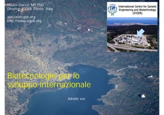 Adriatic sea
Trieste
giacca@icgeb.org
http://www.icgeb.org
Mauro Giacca, MD PhD
Director, ICGEB Trieste, Italy
Biotecnologie per lo
sviluppo internazionale
 