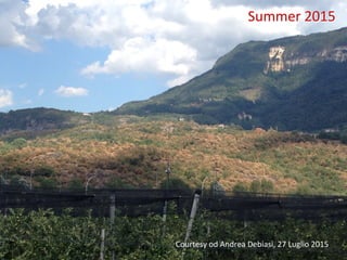  	
   Summer	
  2015	
  
Courtesy	
  od	
  Andrea	
  Debiasi,	
  27	
  Luglio	
  2015	
  
 