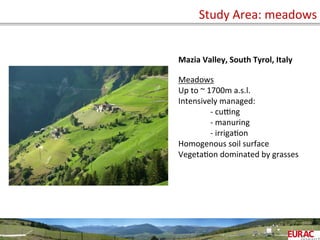 Study	
  Area:	
  meadows	
  
57
Mazia	
  Valley,	
  South	
  Tyrol,	
  Italy	
  
	
  
Meadows	
  
Up	
  to	
  ~	
  1700m	
  a.s.l.	
  
Intensively	
  managed:	
  
	
  -­‐	
  cubng	
  
	
  -­‐	
  manuring	
  
	
  -­‐	
  irrigaOon	
  
Homogenous	
  soil	
  surface	
  
VegetaOon	
  dominated	
  by	
  grasses	
  
	
  
 