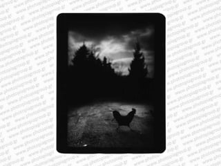 Giacomo brunelli