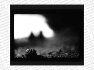 Giacomo brunelli