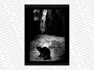 Giacomo brunelli