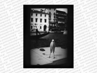 Giacomo brunelli