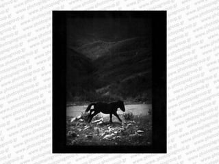 Giacomo brunelli