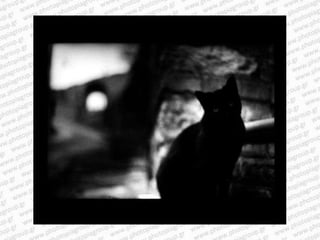 Giacomo brunelli