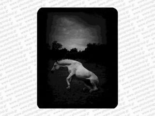 Giacomo brunelli