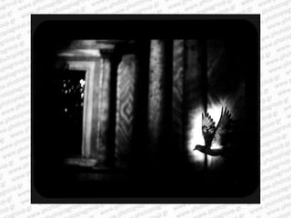 Giacomo brunelli