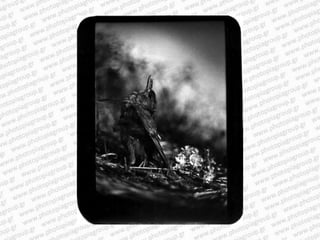 Giacomo brunelli