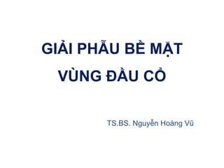 GIẢI PHẪU BỀ MẶT
VÙNG ĐẦU CỔ
TS.BS. Nguyễn Hoàng Vũ
 