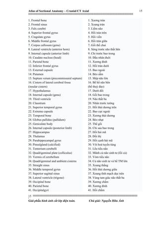 Atlas of Sectional Anatomy – Cranial CT Axial
|||||||||||||||||||||||||||||||||||||||||||||||||||||||||||||||||||||||||||||||||||||||||||||||||||||||||||||||||||||||||||||||||||||||||||||||||||||||||||||||||||||||||||||||||||||||||||||||||||||||||||||||||||||||||||||||||||||||||||||||||||||||||||||||||||||
||||||||||||||||||||||||||||||||||||||||||||||||||||||||||||||||||||||||||||||||||||||||||||||||||||||||||||||||||||||||||||||||||||||||||||||||||||||||||||||||||||||||||||||||||||||||||||||||||||||||||||||||||||||||||||||||||||||||||||||||||||||||||||||||||||
|
Giải phẫu hình ảnh cắt lớp điện toán. Chú giải: Nguyễn Hữu Ánh
15
15
1. Frontal bone
2. Frontal sinus
3. Falx cerebri
4. Superior frontal gyrus
5. Cingulate gyrus
6. Middle frontal gyrus
7. Corpus callosum (genu)
8. Lateral ventricle (anterior horn)
9. Internal capsule (anterior limb)
10. Caudate nucleus (head)
11. Parietal bone
12. Inferior frontal gyrus
13. External capsule
14. Putamen
15. Septum verum (precommissural septum)
16. Cistern of lateral cerebral fossa
(insular cistern)
17. Hypothalamus
18. Internal capsule (genu)
19. Third ventricle
20. Claustrum
21. Superior temporal gyrus
22. Extreme capsule
23. Temporal bone
24. Globus pallidus (pallidum)
25. Geniculate body
26. Internal capsule (posterior limb)
27. Hippocampus
28. Thalamus
29. Parahippocampal gyrus
30. Pinealgland (calcified)
31. Tentorium cerebelli
32. Quadrigeminal plate (colliculus)
33. Vermis of cerebellum
34. Quadrigeminal and ambient cisterns
35. Straight sinus
36. Middle temporal gyrus
37. Superior sagittal sinus
38. Lateral ventricle (trigone)
39. Occipital bone
40. Parietal bone
41. Occipitalgyri
1. Xương trán
2. Xoang trán
3. Liềm não
4. Hồi trán trên
5. Hồi viền
6. Hồi trán giữa
7. Gối thể chai
8. Sừng trước não thất bên
9. Chi trước bao trong
10. Đầu nhân đuôi
11. Xương đỉnh
12. Hồi trán dưới
13. Bao ngoài
14. Bèo sẫm
15. Mép não lớn
16. Bể hố não bên
(bể thuỳ đảo)
17. Dưới đồi
18. Gối bao trong
19. Não thất ba
20. Nhân trước tường
21. Hồi thái dương trên
22. Bao cực ngoài
23. Xương thái dương
24. Bèo nhạt
25. Thể gối
26. Chi sau bao trong
27. Hồi hải mã
28. Đồi thị
29. Hồi cạnh hải mã
30. Vôi hoá tuyến tùng
31. Lều tiểu não
32. Mãnh củ não sinh tư (lồi củ)
33. Vòm tiểu não
34. Củ não sinh tư và bể TM lớn
35. Xoang thẳng
36. Hồi thái dương giữa
37. Xoang tĩnh mạch dọc trên
38. Vùng tam giác não thất ba
39. Xương chẩm
40. Xương đỉnh
41. Hồi chẩm
 