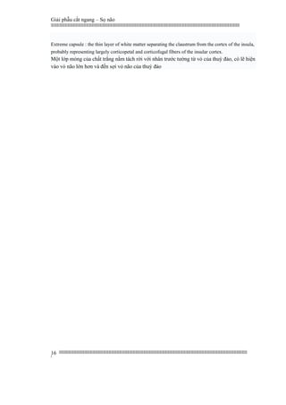 Giải phẫu cắt ngang – Sọ não
|||||||||||||||||||||||||||||||||||||||||||||||||||||||||||||||||||||||||||||||||||||||||||||||||||||||||||||||||||||||||||||||||||||||||||||||||||||||||||||||||||||||||||||||||||||||||||||||||||||||||||||||||||||||||||||||||||||||||||||||||||||||||||||||||||||
||||||||||||||||||||||||||||||||||||||||||||||||||||||||||||||||||||||||||||||||||||||||||||||||||||||||||||||||||||||||||||||||||||||||||||||||||||||||||||||||||||||||||||||||||||||||||||||||||||||||||||||||||||||||||||||||||||||||||||||||||||||||||||||||||||
|
16
Extreme capsule : the thin layer of white matter separating the claustrum from the cortex of the insula,
probably representing largely corticopetal and corticofugal fibers of the insular cortex.
Một lớp mỏng của chất trắng nằm tách rời với nhân trước tường từ vỏ của thuỳ đảo, có lẽ hiện
vào vỏ não lớn hơn và đến sợi vỏ não của thuỳ đảo
 