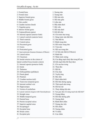 Giải phẫu cắt ngang – Sọ não
|||||||||||||||||||||||||||||||||||||||||||||||||||||||||||||||||||||||||||||||||||||||||||||||||||||||||||||||||||||||||||||||||||||||||||||||||||||||||||||||||||||||||||||||||||||||||||||||||||||||||||||||||||||||||||||||||||||||||||||||||||||||||||||||||||||
||||||||||||||||||||||||||||||||||||||||||||||||||||||||||||||||||||||||||||||||||||||||||||||||||||||||||||||||||||||||||||||||||||||||||||||||||||||||||||||||||||||||||||||||||||||||||||||||||||||||||||||||||||||||||||||||||||||||||||||||||||||||||||||||||||
|
18
1. Frontal bone
2. Frontal sinus
3. Superior frontal gyrus
4. Middle frontal gyrus
5. Falx cerebri
6. Caudate nucleus (head)
7. Cingulate gyrus
8. Inferior frontal gyrus
9. Corpuscallosum (genu)
10. Internal capsule (anterior limb)
11. Lateral ventricle (anterior horn)
12. Third ventricle
13. Central sulcus
14. Precentral gyrus
15. Fornix
16. Postcentral gyrus
17. Interventricular foramen (foramen of Monro)
18. Lateral sulcus
19. Claustrum
20. Insular arteries in the cistern of
lateral cerebral fossa (insular cistern)
21. Internal capsule (posterior limb)
22. Insula
23. Thalamus
24. Globuspallidus (pallidum)
25. Pineal gland
26. Putamen
27. Caudate nucleus (tail)
28. Transverse temporal gyrus
29. Internal cerebral vein
30. Hippocampus
31. Vermis of cerebellum
32. Lateral ventricle (trigone with Choroid plexus)
33. Straight sinus
34. Middle temporal gyrus
35. Parietal bone
36. Parieto-occipital sulcus
37. Superior sagittal sinus
38. Occipitalgyri
39. Occipital bone
40. Striate cortex
41. Occipital pole
1. Xương trán
2. Xoang trán
3. Hồi trán trên
4. Hồi trán giữa
5. Liềm não
6. Đầu nhân đuôi
7. Hồi viền
8. Hồi trán dưới
9. Gối thể chai
10. Chi trước bao trong
11. Sừng trước não thất bên
12. Não thất ba
13. Rãnh trung tâm
14. Hồi trước trung tâm
15. Vòm não
16. Hồi sau trung tâm
17. Lỗ liên não thất (Lỗ Monro)
18. Rãnh bên
19. Nhân trước tường
20. Các động mạch thuỳ đảo trong bễ của
hố tĩnh mạch bên (bể thuỳ đảo)
21. Chi sau bao trong
22. Thuỳ đảo
23. Đồi thị
24. Cầu nhạt
25. Tuyến tùng
26. Bèo sẫm
27. Đuôi nhân đuôi
28. Hồi thái dương ngang
29. Tĩnh mạch não trong
30. Hồi hải mã
31. Thuỳ nhộng tiểu não
32. Tam giác đám rối màng mạch não thất bên*
33. Xoang thẳng
34. Hồi thái dương giữa
35. Xương đỉnh
36. Rãnh đỉnh chẩm
37. Xoang dọc trên
38. Hồi chẩm
39. Xương chẩm
40. Vỏ khía
41. Cực chẩm
 