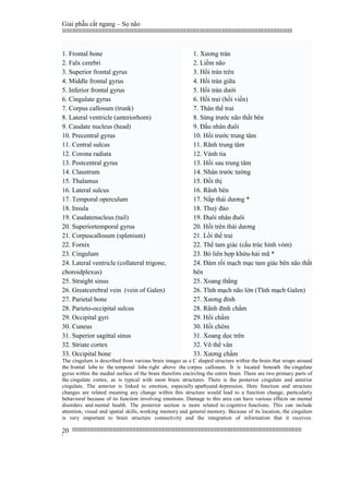 Giải phẫu cắt ngang – Sọ não
|||||||||||||||||||||||||||||||||||||||||||||||||||||||||||||||||||||||||||||||||||||||||||||||||||||||||||||||||||||||||||||||||||||||||||||||||||||||||||||||||||||||||||||||||||||||||||||||||||||||||||||||||||||||||||||||||||||||||||||||||||||||||||||||||||||
||||||||||||||||||||||||||||||||||||||||||||||||||||||||||||||||||||||||||||||||||||||||||||||||||||||||||||||||||||||||||||||||||||||||||||||||||||||||||||||||||||||||||||||||||||||||||||||||||||||||||||||||||||||||||||||||||||||||||||||||||||||||||||||||||||
|
20
1. Frontal bone
2. Falx cerebri
3. Superior frontal gyrus
4. Middle frontal gyrus
5. Inferior frontal gyrus
6. Cingulate gyrus
7. Corpus callosum (trunk)
8. Lateral ventricle (anteriorhorn)
9. Caudate nucleus (head)
10. Precentral gyrus
11. Central sulcus
12. Corona radiata
13. Postcentral gyrus
14. Claustrum
15. Thalamus
16. Lateral sulcus
17. Temporal operculum
18. Insula
19. Caudatenucleus (tail)
20. Superiortemporal gyrus
21. Corpuscallosum (splenium)
22. Fornix
23. Cingulum
24. Lateral ventricle (collateral trigone,
choroidplexus)
25. Straight sinus
26. Greatcerebral vein (vein of Galen)
27. Parietal bone
28. Parieto-occipital sulcus
29. Occipital gyri
30. Cuneus
31. Superior sagittal sinus
32. Striate cortex
33. Occipital bone
1. Xương trán
2. Liềm não
3. Hồi trán trên
4. Hồi trán giữa
5. Hồi trán dưới
6. Hồi trai (hồi viền)
7. Thân thể trai
8. Sừng trước não thất bên
9. Đầu nhân đuôi
10. Hồi trước trung tâm
11. Rãnh trung tâm
12. Vành tia
13. Hồi sau trung tâm
14. Nhân trước tường
15. Đồi thị
16. Rãnh bên
17. Nắp thái dương *
18. Thuỳ đảo
19. Đuôi nhân đuôi
20. Hồi trên thái dương
21. Lồi thể trai
22. Thể tam giác (cấu trúc hình vòm)
23. Bó liên hợp khứu-hải mã *
24. Đám rối mạch mạc tam giác bên não thất
bên
25. Xoang thẳng
26. Tĩnh mạch não lớn (Tĩnh mạch Galen)
27. Xương đỉnh
28. Rãnh đỉnh chẩm
29. Hồi chẩm
30. Hồi chêm
31. Xoang dọc trên
32. Võ thể vân
33. Xương chẩm
The cingulum is described from various brain images as a C shaped structure within the brain that wraps around
the frontal lobe to the temporal lobe right above the corpus callosum. It is located beneath the cingulate
gyrus within the medial surface of the brain therefore encircling the entire brain. There are two primary parts of
the cingulate cortex, as is typical with most brain structures. There is the posterior cingulate and anterior
cingulate. The anterior is linked to emotion, especially apathyand depression. Here function and structure
changes are related meaning any change within this structure would lead to a function change, particularly
behavioral because of its function involving emotions. Damage to this area can have various effects on mental
disorders and mental health. The posterior section is more related to cognitive functions. This can include
attention, visual and spatial skills, working memory and general memory. Because of its location, the cingulum
is very important to brain structure connectivity and the integration of information that it receives.
 