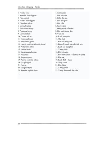 Giải phẫu cắt ngang – Sọ não
|||||||||||||||||||||||||||||||||||||||||||||||||||||||||||||||||||||||||||||||||||||||||||||||||||||||||||||||||||||||||||||||||||||||||||||||||||||||||||||||||||||||||||||||||||||||||||||||||||||||||||||||||||||||||||||||||||||||||||||||||||||||||||||||||||||
||||||||||||||||||||||||||||||||||||||||||||||||||||||||||||||||||||||||||||||||||||||||||||||||||||||||||||||||||||||||||||||||||||||||||||||||||||||||||||||||||||||||||||||||||||||||||||||||||||||||||||||||||||||||||||||||||||||||||||||||||||||||||||||||||||
|
22
1. Frontal bone
2. Superior frontal gyrus
3. Falx cerebri
4. Middle frontal gyrus
5. Cingulate sulcus
6. Coronal suture
7. Pericallosal artery
8. Precentral gyrus
9. Coronaradiata
10. Central sulcus
11. Corpuscallosum
12. Postcentral gyrus
13. Lateral ventricle (choroid plexus)
14. Postcentral sulcus
15. Parietal bone
16. Supramarginal gyrus
17. Precuneus
18. Angular gyrus
19. Parieto-occipital sulcus
20. Occipitalgyri
21. Cuneus
22. Occipital bone
23. Superior sagittal sinus
1. Xương trán
2. Hồi trán trên
3. Liềm đại não
4. Hồi trán giữa
5. Hồi viền
6. Khớp vành
7. Động mạch viền chai
8. Hồi trước trung tâm
9. Vành tia
10. Rãnh trung tâm
11. Thể chai
12. Hồi sau trung tâm
13. Đám rối mạch mạc não thất bên
14. Rãnh sau trung tâm
15. Xương đính
16. Hồi trên viền
17. Hồi trước chêm (Tiểu thuỳ 4 cạnh)
18. Hồi góc
19. Rãnh đính - chẩm
20. Thùy chẩm
21. Hồi chêm
22. Xương chẩm
23. Xoang tĩnh mạch dọc trên
.
 