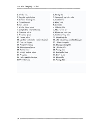 Giải phẫu cắt ngang – Sọ não
|||||||||||||||||||||||||||||||||||||||||||||||||||||||||||||||||||||||||||||||||||||||||||||||||||||||||||||||||||||||||||||||||||||||||||||||||||||||||||||||||||||||||||||||||||||||||||||||||||||||||||||||||||||||||||||||||||||||||||||||||||||||||||||||||||||
||||||||||||||||||||||||||||||||||||||||||||||||||||||||||||||||||||||||||||||||||||||||||||||||||||||||||||||||||||||||||||||||||||||||||||||||||||||||||||||||||||||||||||||||||||||||||||||||||||||||||||||||||||||||||||||||||||||||||||||||||||||||||||||||||||
|
24
1. Frontal bone
2. Superior sagittal sinus
3. Superior frontal gyrus
4. Coronal suture
5. Falx cerebri
6. Middle frontal gyrus
7. Longitudinal cerebral fissure
8. Precentral sulcus
9. Precentral gyrus
10. Central sulcus
11. Cerebral whitematter (semioval center)
12. Postcentral gyrus
13. Paracentral lobule
14. Supramarginal gyrus
15. Parietal bone
16. Inferior parietal lobule
17. Precuneus
18. Parieto-occipital sulcus
19.Occipital bone
1. Xương trán
2. Xoang tĩnh mạch dọc trên
3. Hồi trán trên
4. Khớp vành
5. Liềm não
6. Hồi trán giữa
7. Khe dọc tiểu não
8. Rãnh trước trung tâm
9. Hồi trước trung tâm
20. Rãnh trung tâm
11. Chất trắng (trung tâm bán bầu dục)
12. Hồi sau trung tâm
13. Thuỳ cạnh trung tâm
14. Hồi trên viền
15. Xương đỉnh
16. Thuỳ chẩm dưới
17. Trước chêm
18. Rãnh chẩm
19. Xương chẩm
 