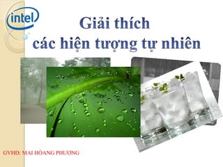 GVHD: MAI HÒANG PHƯƠNG
 