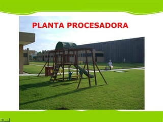 PLANTA PROCESADORA
 