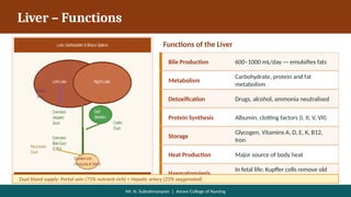 GI,ANATOMY AND PHYSIOLOGY OVERVIEW.ppt.. | PPTX