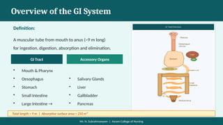 Gi Slideshow GI,ANATOMY AND PHYSIOLOGY OVERVIEW.ppt.. | PPTX