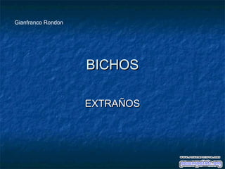 Gianfranco Rondon

BICHOS
EXTRAÑOS

 