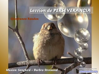 Lección de PERSEVERANCIALección de PERSEVERANCIA
Música: Songbird – Barbra StreisandMúsica: Songbird – Barbra Streisand
Gianfranco Rondon
 
