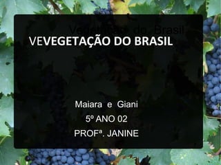 Vegetação do Brasil
Maiara e Giani
5º ANO 02
PROFª. JANINE
VEVEGETAÇÃO DO BRASILVEGETAÇÃO DO BRASIL
 