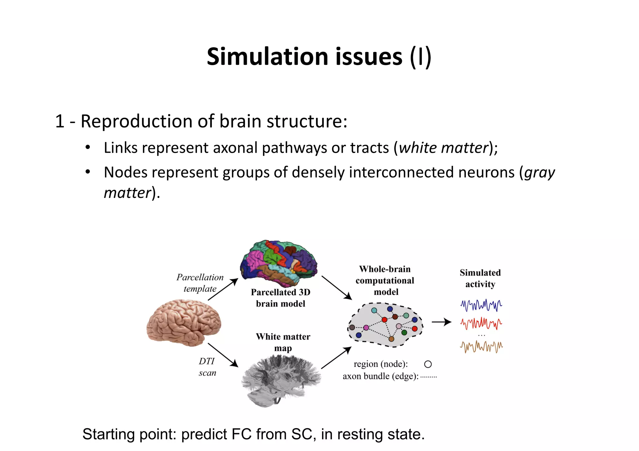 Simulation issues (I)
1 - Reproduction of brain structure:
• Links represent axonal pathways or tracts (white matter);
• Nodes represent groups of densely interconnected neurons (gray
matter).
Starting point: predict FC from SC, in resting state.
 