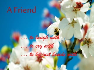 A Friend
… to laugh with
… to cry with
… to be just beside with
 