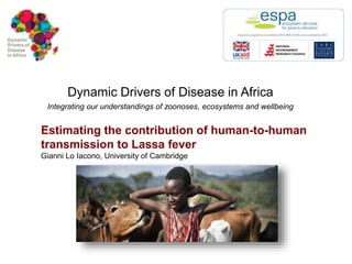 Dynamic Drivers of Disease in Africa 
Integrating our understandings of zoonoses, ecosystems and wellbeing 
Estimating the contribution of human-to-human 
transmission to Lassa fever 
Gianni Lo Iacono, University of Cambridge 
 