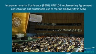 Deep Sea Mining & the International Seabed Authority: The case for a ...