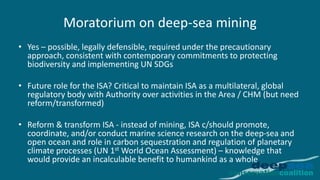 Deep Sea Mining & the International Seabed Authority: The case for a ...