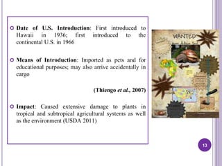  Date of U.S. Introduction: First introduced to
Hawaii in 1936; first introduced to the
continental U.S. in 1966
 Means of Introduction: Imported as pets and for
educational purposes; may also arrive accidentally in
cargo
(Thiengo et al., 2007)
 Impact: Caused extensive damage to plants in
tropical and subtropical agricultural systems as well
as the environment (USDA 2011)
13
prabha.reddy95@gmail.com
 