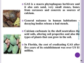  GAS is a macro phytophagous herbivore and
it also eats sand, very small stones, bones
from carcasses and concrete as sources of
calcium.
 General nuisance in human habitations -
decaying bodies release a bad stench.
 Calcium carbonate in the shell neutralizes the
acid soils, altering soil properties and also the
types of plants that can grow in the soil.
 In Florida, the cost of eradicating GAS after
five years of its establishment was over US $1
million.
18
prabha.reddy95@gmail.com
 