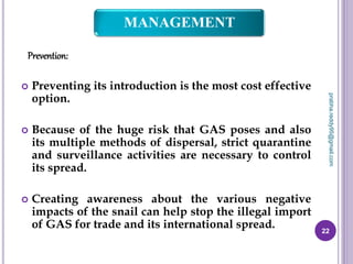 MANAGEMENT
Prevention:
 Preventing its introduction is the most cost effective
option.
 Because of the huge risk that GAS poses and also
its multiple methods of dispersal, strict quarantine
and surveillance activities are necessary to control
its spread.
 Creating awareness about the various negative
impacts of the snail can help stop the illegal import
of GAS for trade and its international spread. 22
prabha.reddy95@gmail.com
 