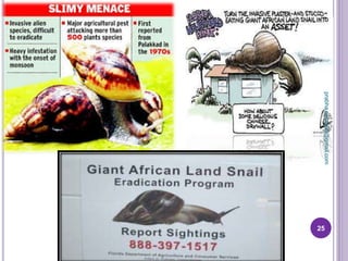 25
prabha.reddy95@gmail.com
 