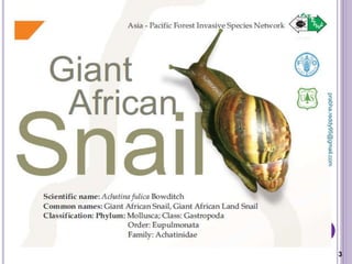 3
prabha.reddy95@gmail.com
 