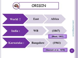 World : East Africa
India : WB (1847)
Karnataka : Bangalore (1961)
6
ORIGIN
(Veeresh et al., 1979)
(Mead, 1961)
prabha.reddy95@gmail.com
 