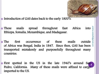  Introduction of GAS dates back to the early 1800’s.
 These snails spread throughout East Africa into
Ethiopa, Somalia, Mozambique, and Madagasar.
 The first occurrence of these snails outside
of Africa was Bengal, India in 1847. Since then, GAS has been
transported mistakenly and purposefully throughout many
countries.
 First spotted in the US in the late 1940’s around San
Pedro, California. Many of these snails were affixed to cargo
imported to the US.
8
prabha.reddy95@gmail.com
 