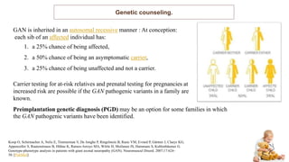 Genetic counseling.
GAN is inherited in an autosomal recessive manner : At conception:
each sib of an affected individual has:
1. a 25% chance of being affected,
2. a 50% chance of being an asymptomatic carrier,
3. a 25% chance of being unaffected and not a carrier.
Carrier testing for at-risk relatives and prenatal testing for pregnancies at
increased risk are possible if the GAN pathogenic variants in a family are
known.
Preimplantation genetic diagnosis (PGD) may be an option for some families in which
the GAN pathogenic variants have been identified.
Koop O, Schirmacher A, Nelis E, Timmerman V, De Jonghe P, Ringelstein B, Rasic VM, Evrard P, Gärtner J, Claeys KG,
Appenzeller S, Rautenstrauss B, Hühne K, Ramos-Arroyo MA, Wörle H, Moilanen JS, Hammans S, Kuhlenbäumer G.
Genotype-phenotype analysis in patients with giant axonal neuropathy (GAN). Neuromuscul Disord. 2007;17:624–
30. [PubMed]
 