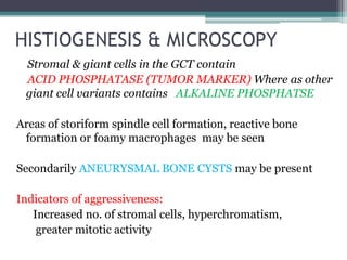 HISTIOGENESIS & MICROSCOPY 
Stromal & giant cells in the GCT contain 
ACID PHOSPHATASE (TUMOR MARKER) Where as other 
giant cell variants contains ALKALINE PHOSPHATSE 
Areas of storiform spindle cell formation, reactive bone 
formation or foamy macrophages may be seen 
Secondarily ANEURYSMAL BONE CYSTS may be present 
Indicators of aggressiveness: 
Increased no. of stromal cells, hyperchromatism, 
greater mitotic activity 
 