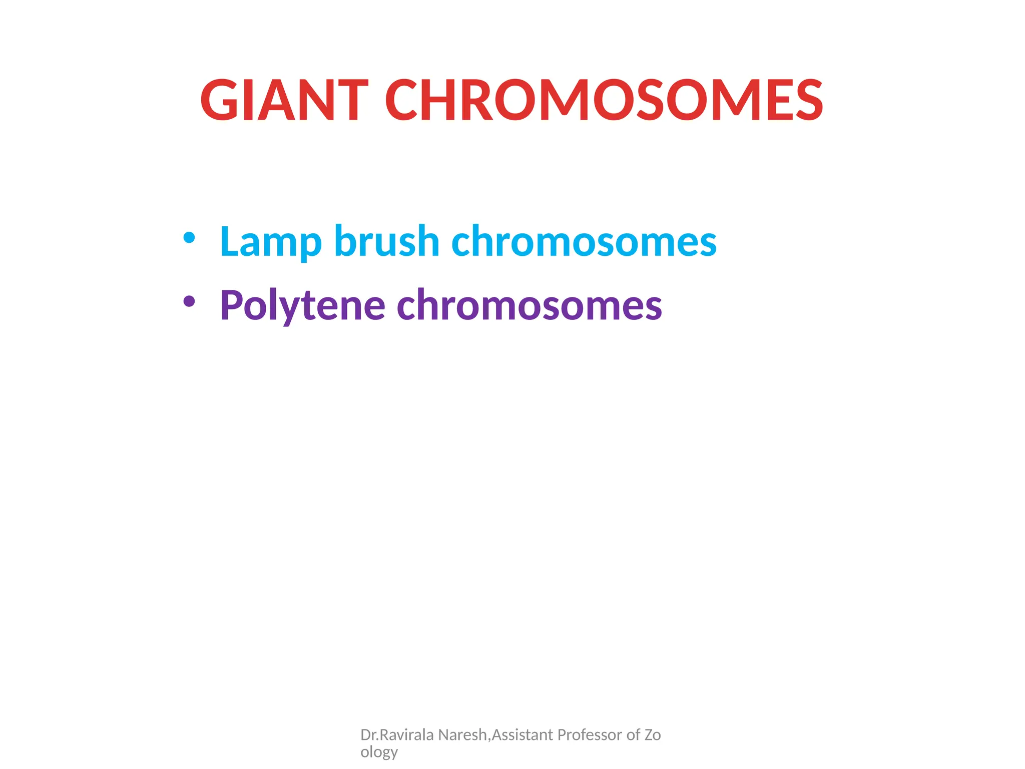 STRUCTURE AND TYPES OF GIANT CHROMOSOMES | PPTX