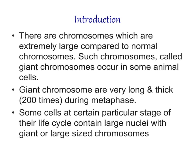 Giant chromosomes | PPTX | Biological Sciences | Science