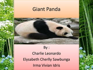 Giant Panda
By :
Charlie Leonardo
Elysabeth Cherlly Sawbunga
Irma Vivian Idris
 