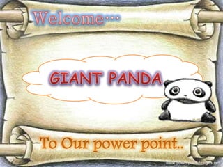 Giant panda | PPTX
